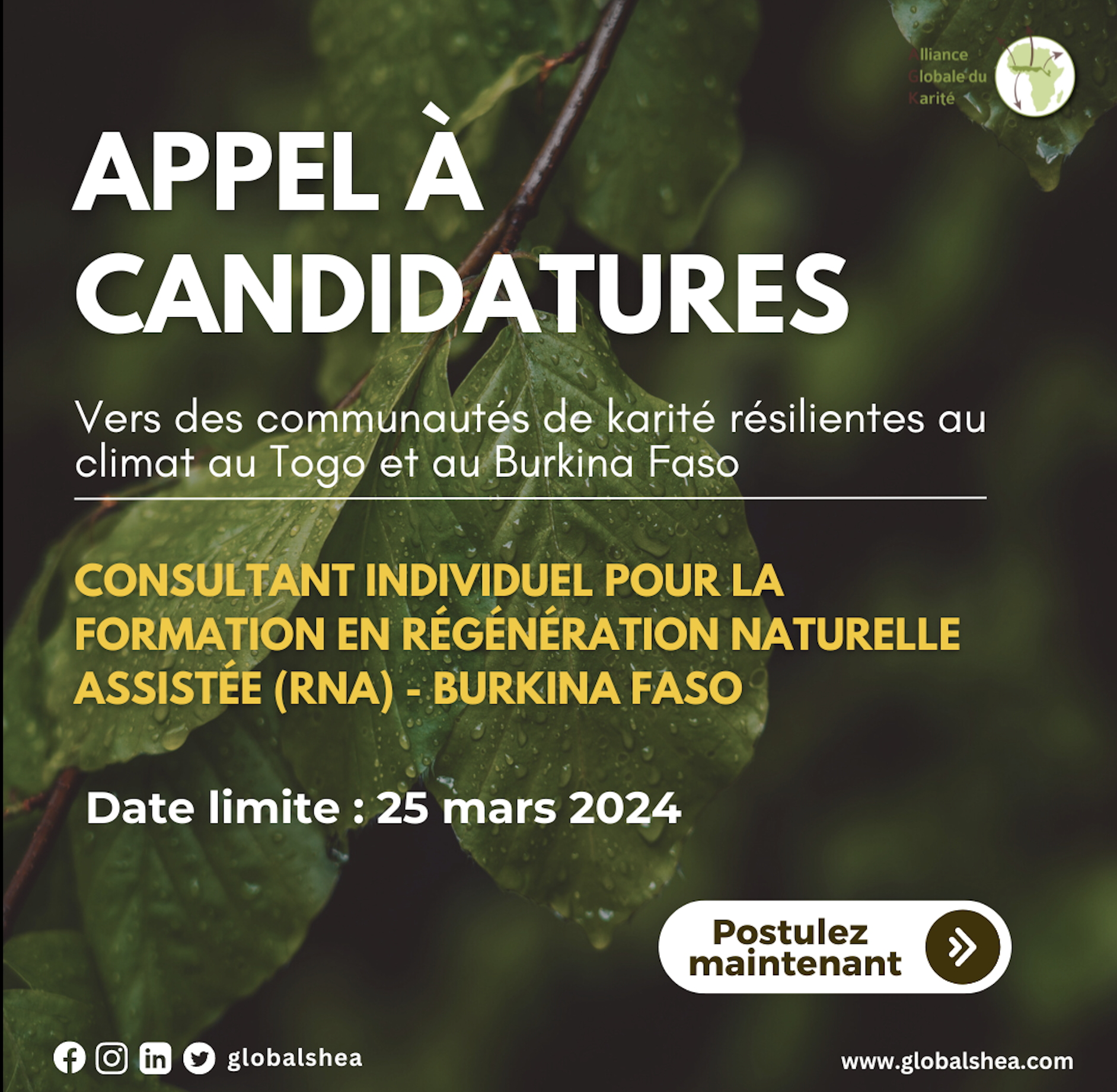 Sélection d’un Consultant individuel pour la formation en régénération naturelle assistée (RNA)